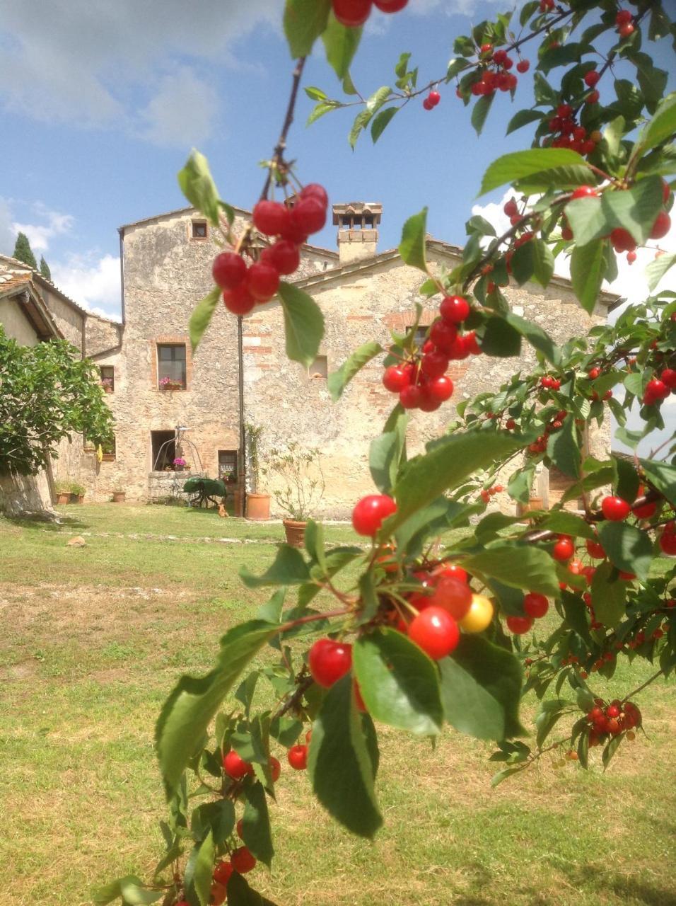 Frühstückspension La Canonica Di San Michele Monteriggioni